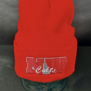 Northwestern Skull Cap