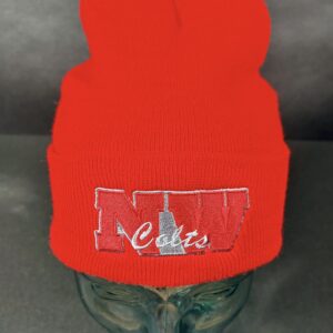 Northwestern Skull Cap