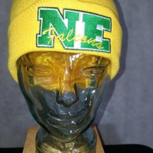 Northeastern Skully Hat and Scarf