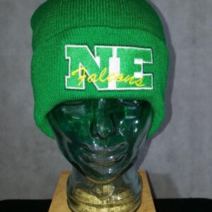 Northeastern Skully Hat and Scarf