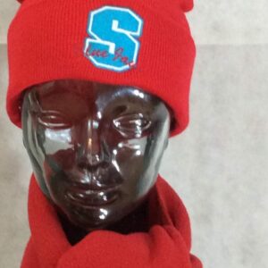 Southfield Skully Hat and Scarf