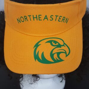 Northeastern Visor