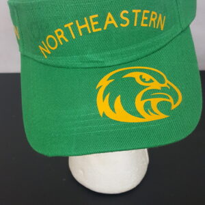 Northeastern Visor