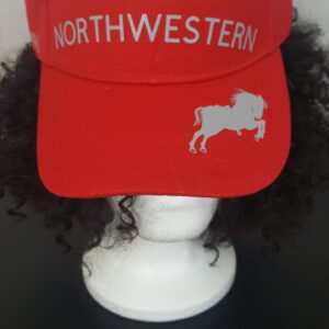 Northwestern Visor
