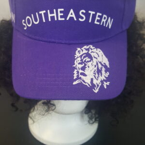 Southeastern Visor