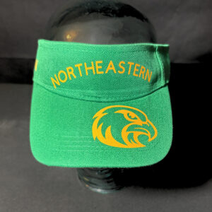 Northeastern Visor